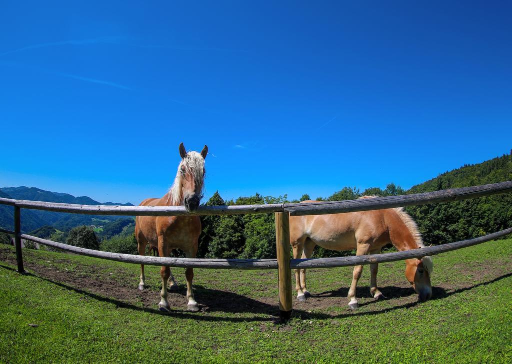 ラーシュコ Country House Na Skalucゲストハウス エクステリア 写真