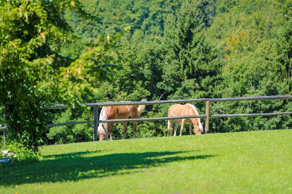 ラーシュコ Country House Na Skalucゲストハウス エクステリア 写真